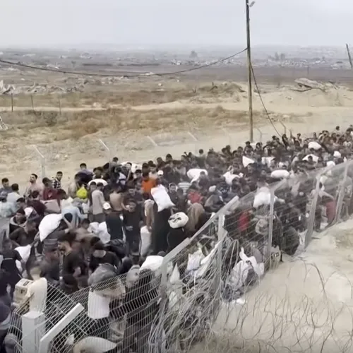 Nog meer bewijs dat Israël uitgehongerde Palestijnen liquideert bij noodhulpdistributie