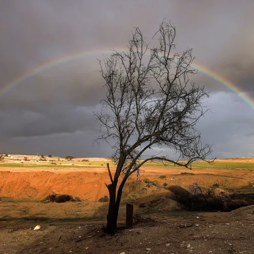 Toen de regenboog nog van iedereen was