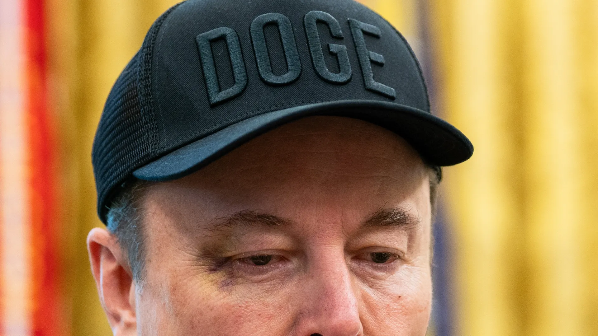 muskdoge