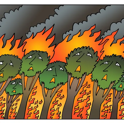 Meer bosbranden door klimaatcrisis