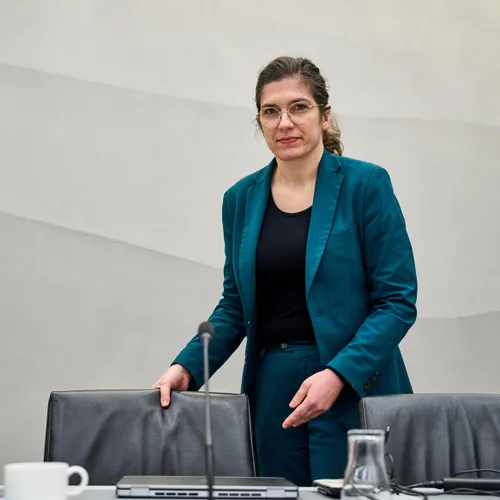 Partij voor de Dieren steunt controversieel pensioenplan NSC, bijna Kamermeerderheid