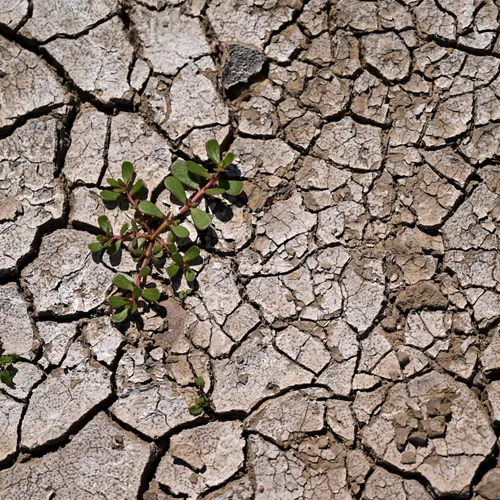 Tine Hens: We leven in een klimaatcrisis, met de hittegolf van juni stierven meer mensen dan bij pieken tijdens corona