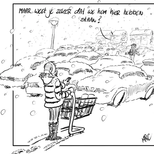 Sneeuw veroorzaakt onvoorziene problemen