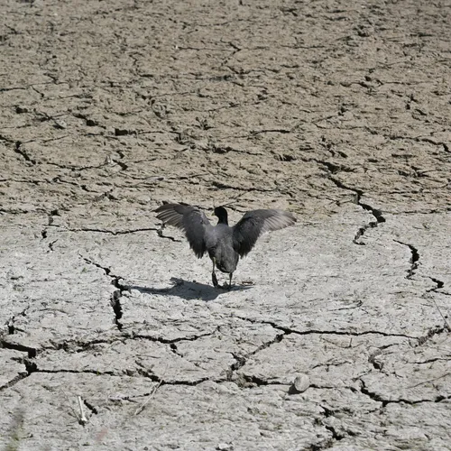 Klimaatcrisis: Wereld koerst af op catastrofale opwarming van 2,6 graden