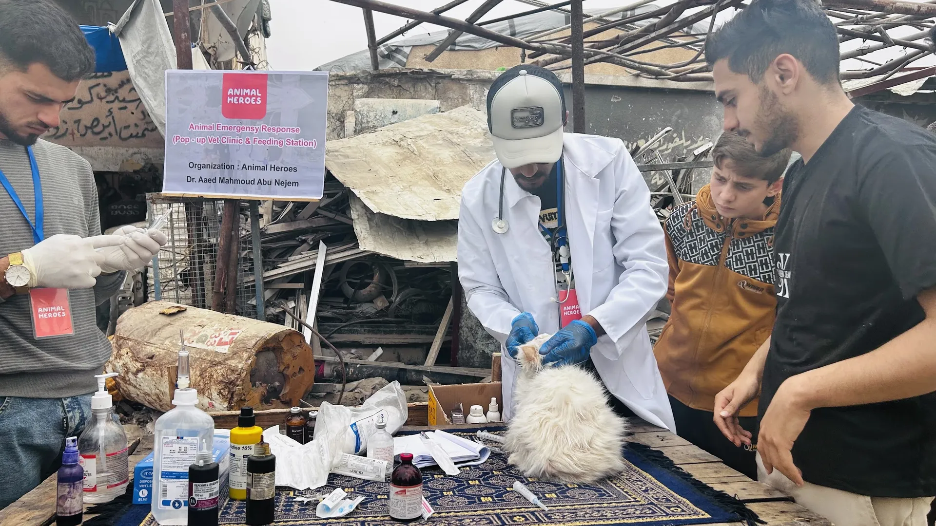 Afbeelding van Onze dierenarts vecht tegen de honger – én voor het leven van dieren in Gaza