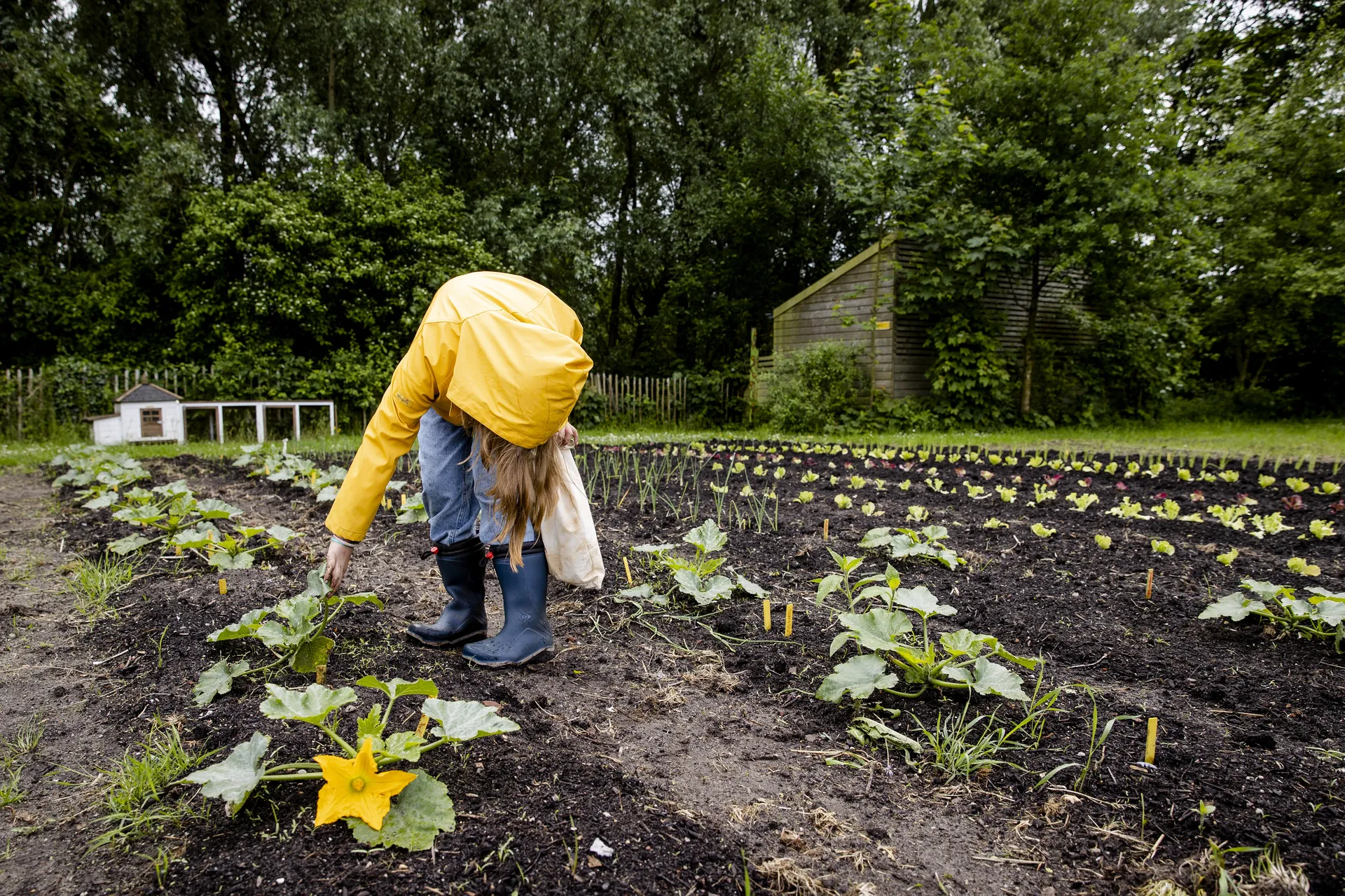 Afbeelding van Door hun dromen te realiseren, dragen jongeren bij aan de huidige transitie
