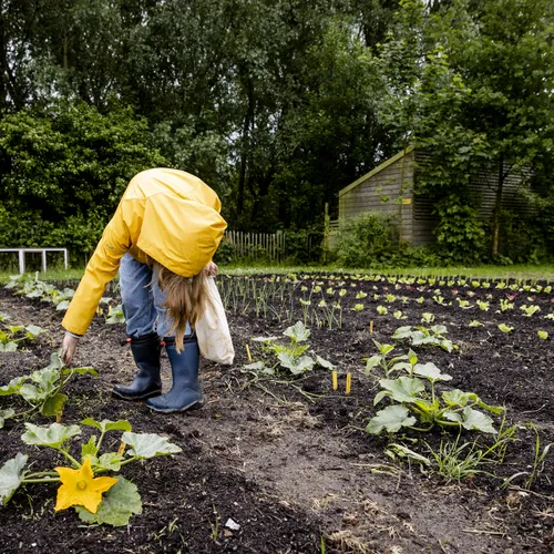 Door hun dromen te realiseren, dragen jongeren bij aan de huidige transitie