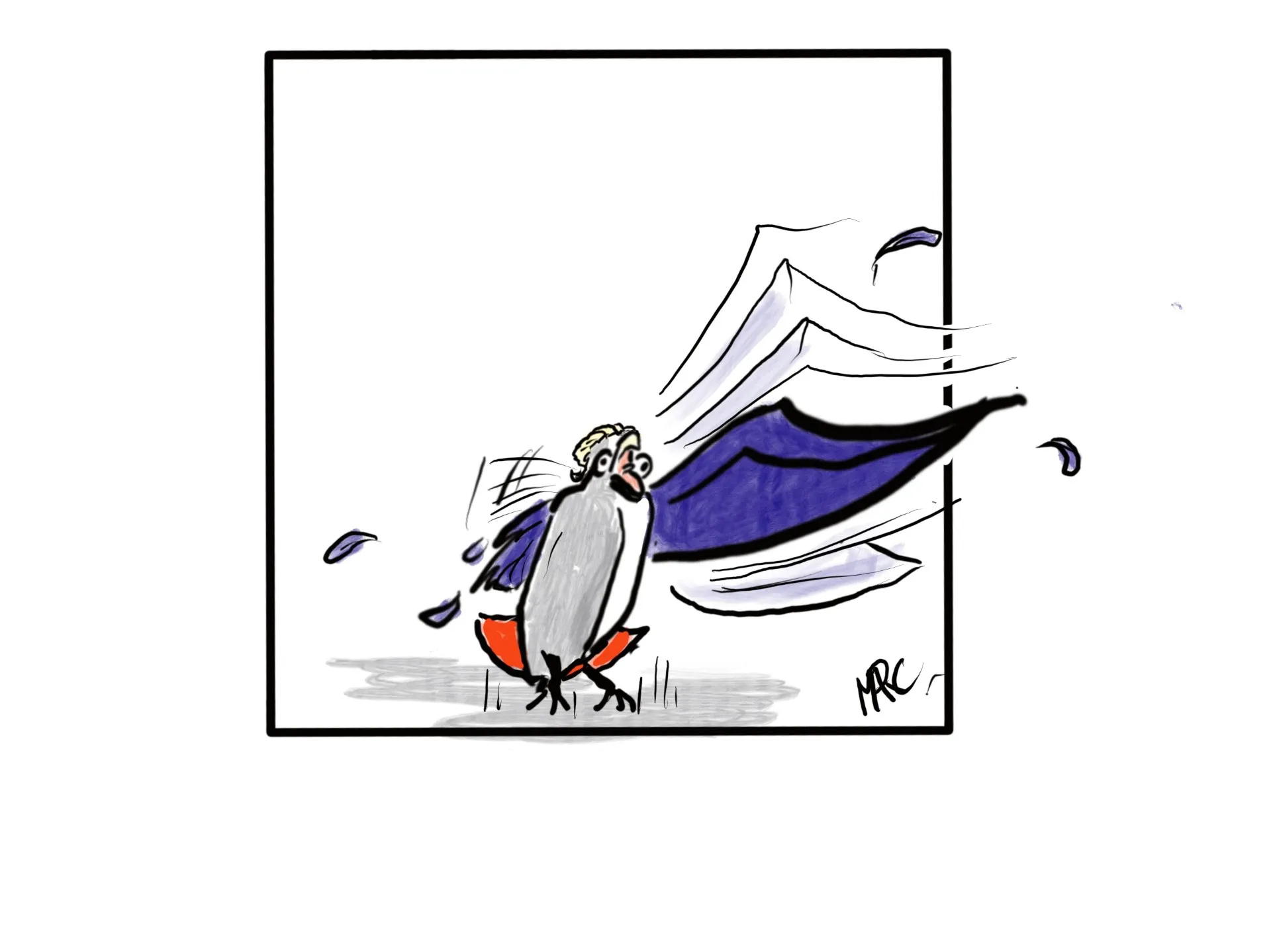 Afbeelding van PVV vleugellam