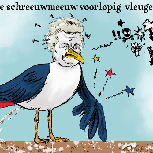 Wilders in de problemen