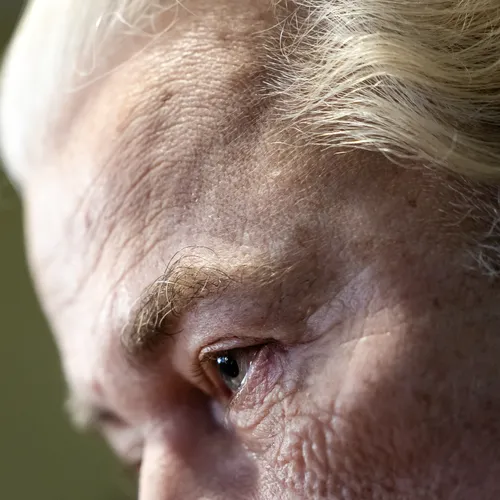 Is Wilders een eigentijdse Jago?