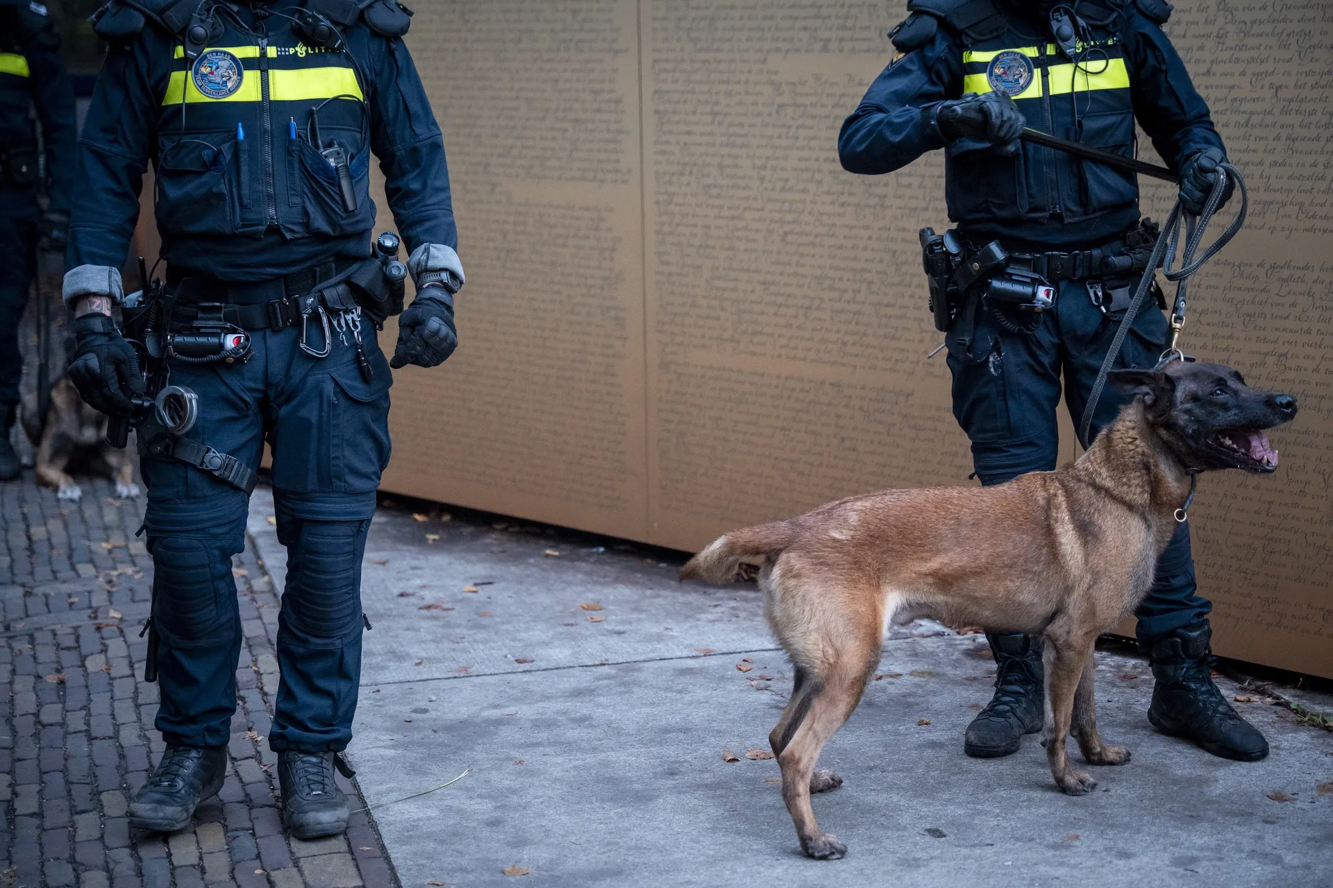 Afbeelding van Politie werkt nog steeds met gemartelde honden