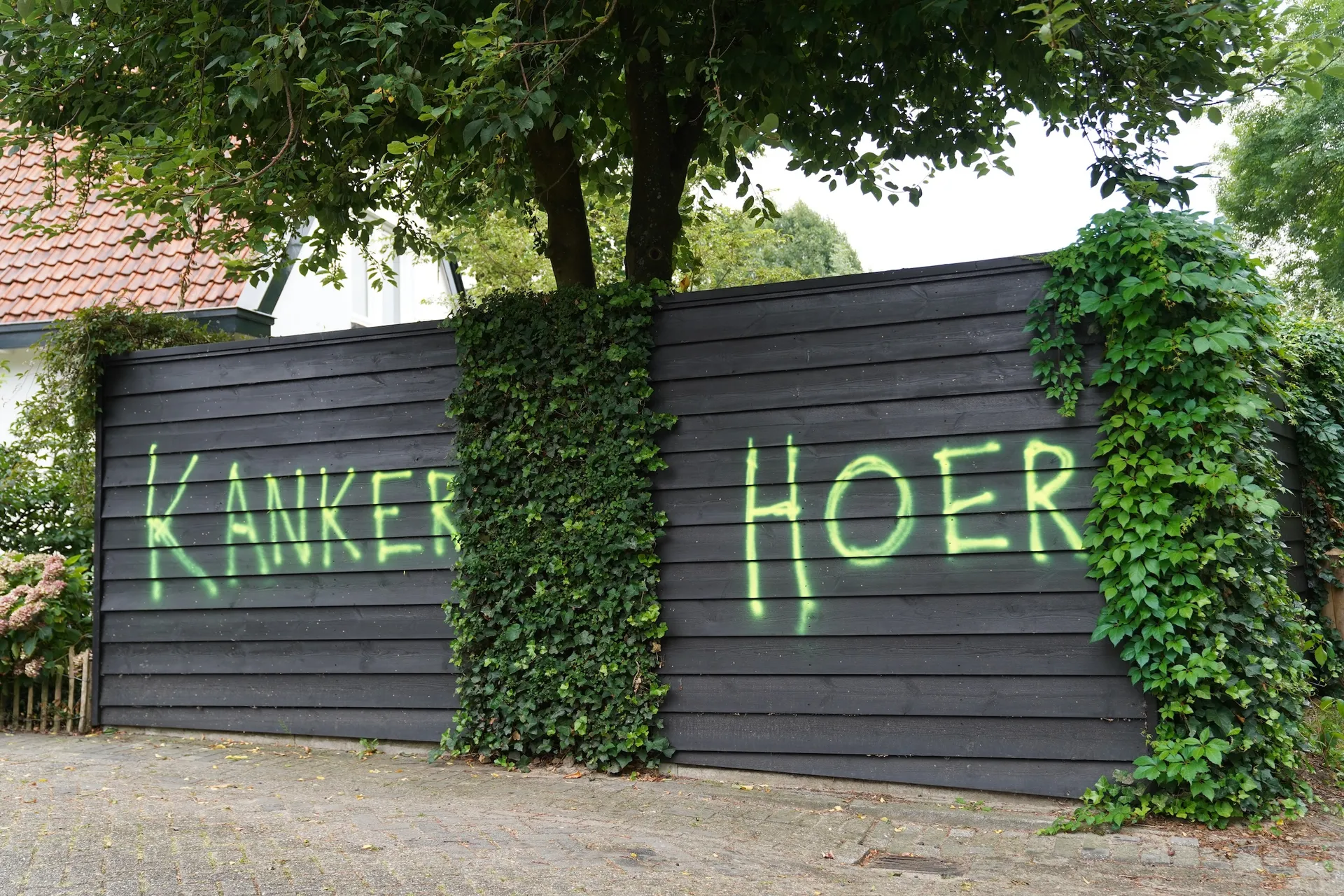 Afbeelding van PRO-leider Klaver: 'Stilte van kabinet' rond fascistische terreur Engelen is 'onbegrijpelijk'