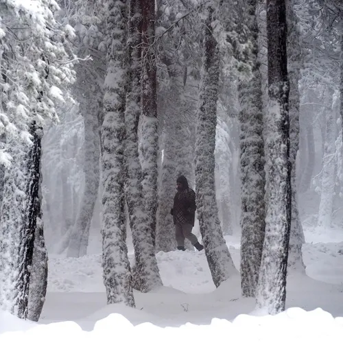 Politiek is niets voor angsthazen!