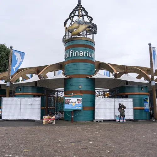 Dolfinarium Harderwijk is een schandvlek voor de stad