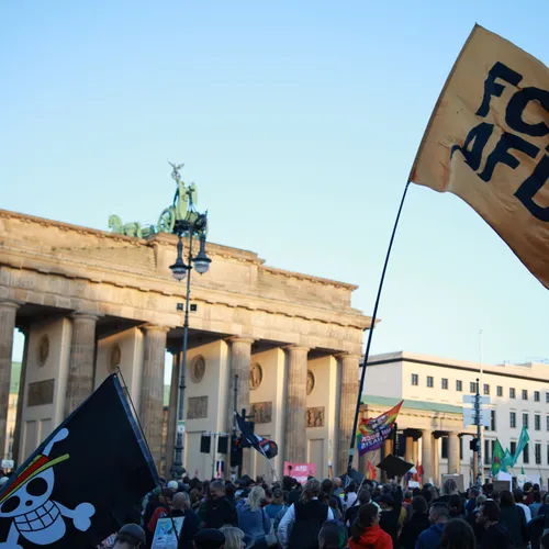 AfD botst met Duits en Europees recht bij plannen voor migratie en asiel