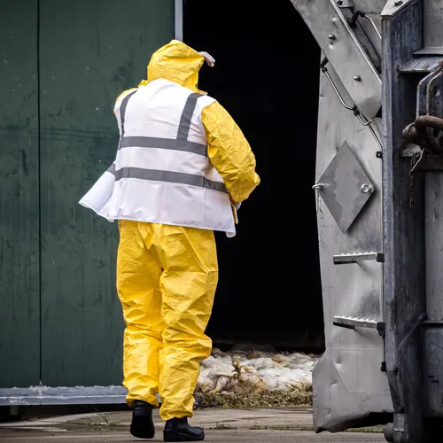 De wereld op zijn kop