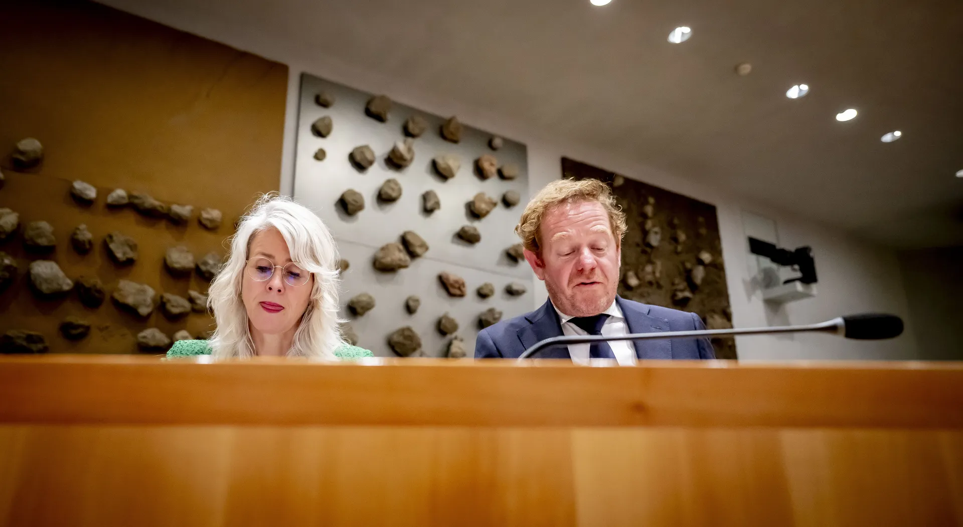 Afbeelding van Wij laten ons gijzelen door onwaarheden