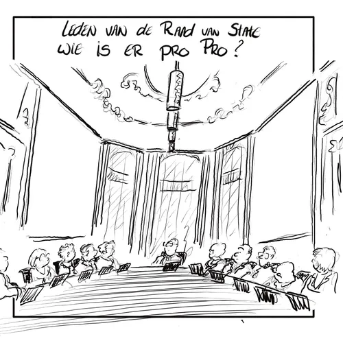 Raad van State wijst bezwaren lokale partijen af, GL-PvdA mag PRO gaan heten