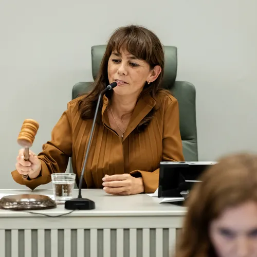 Mei Li Vos nieuwe voorzitter Eerste Kamer