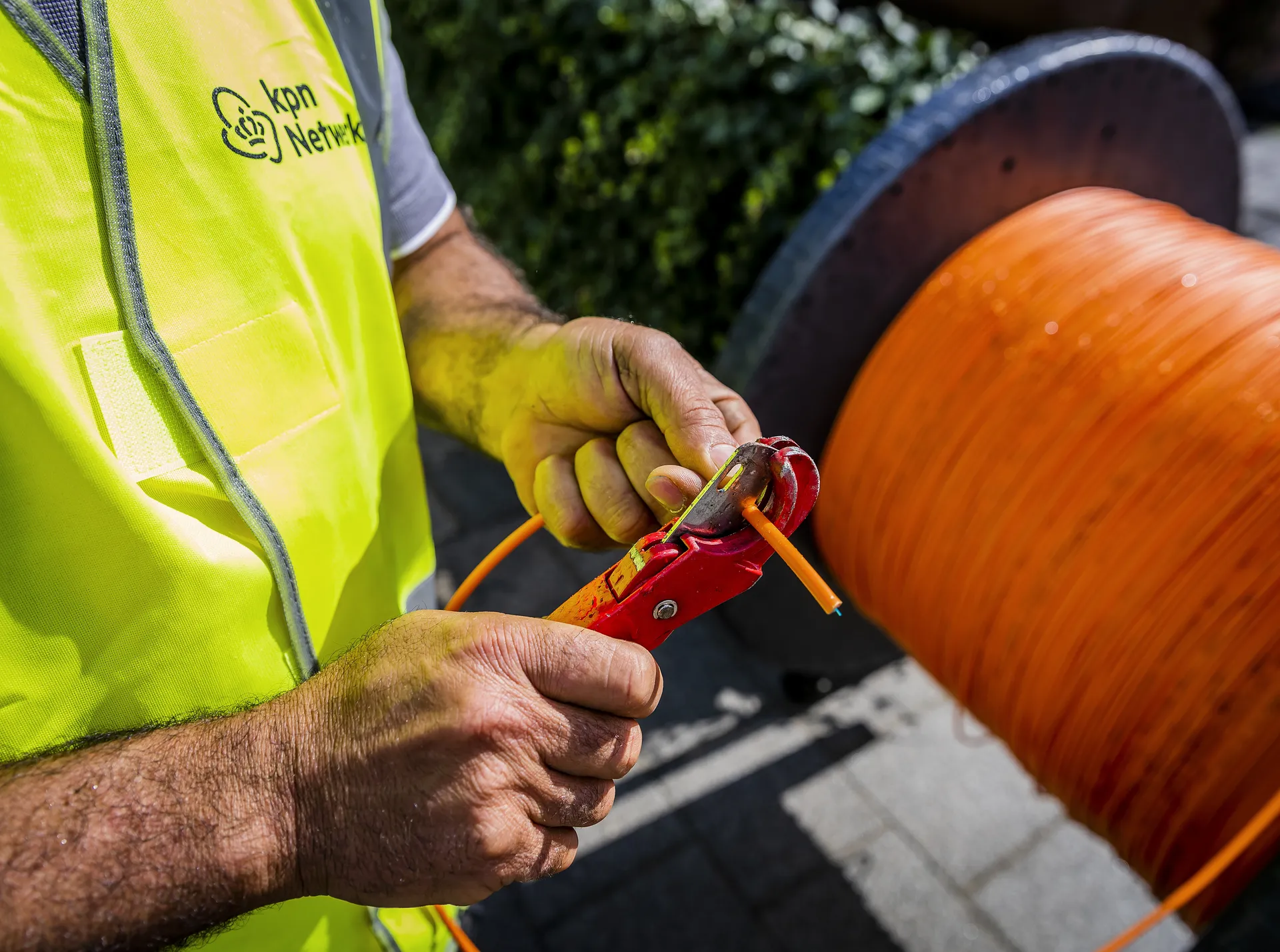 Afbeelding van Ironie van de verandering