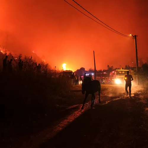 Klimaatcrisis: 50,5 graden in Turkije, evacuaties vanwege natuurbranden, meer vluchten Schiphol