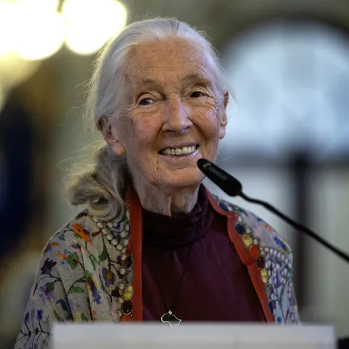 Hoe ‘Famous Last Words’ van Jane Goodall de mensheid weer richting kan geven