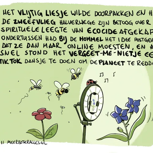 Ecocide