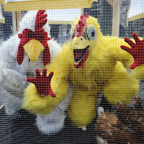 De vos in het kippenhok