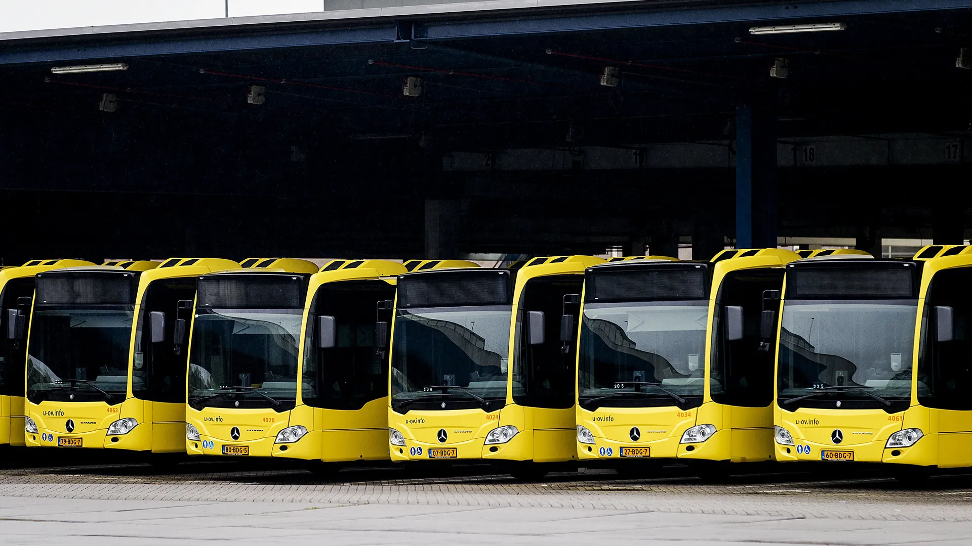 bussen
