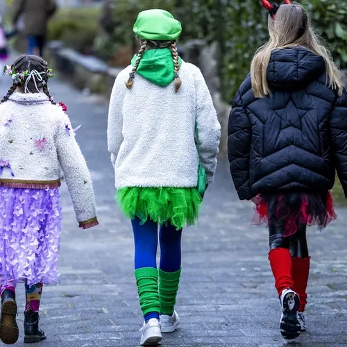 1 op de 5 carnavalsverenigingen weert vrouwen uit Raad van Elf