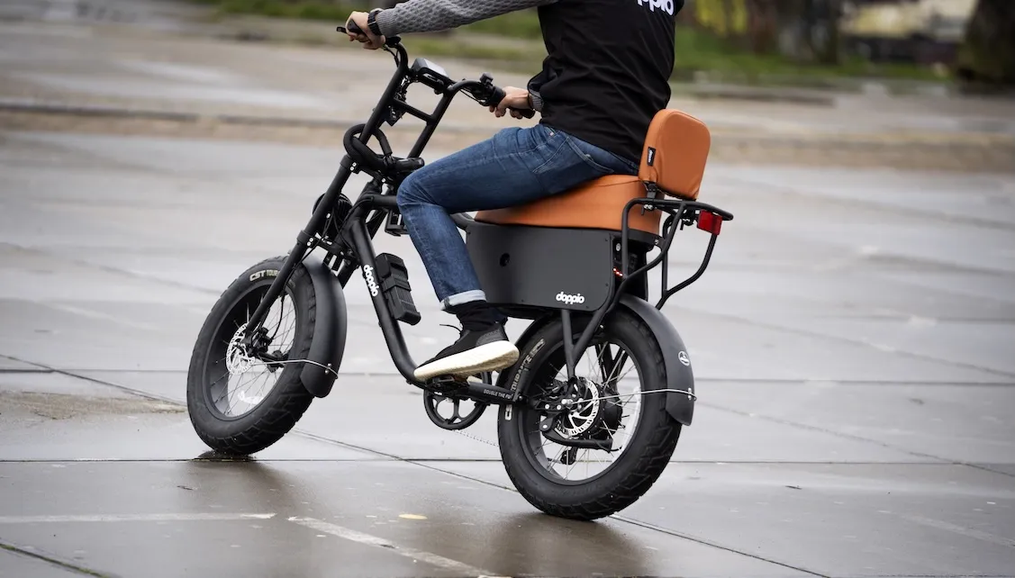 Afbeelding van Corretje, waar zijn je wilde haren toch gebleven?