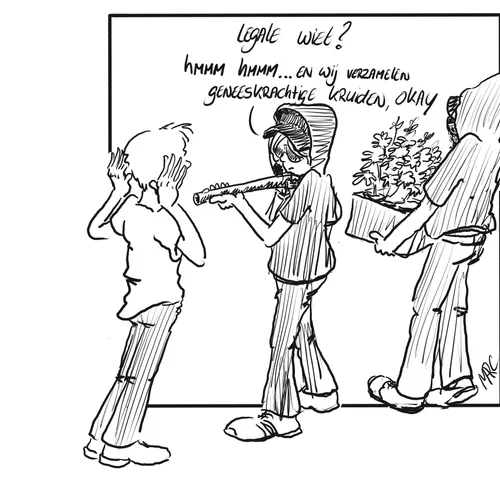 Legale wietkwekerij overvallen