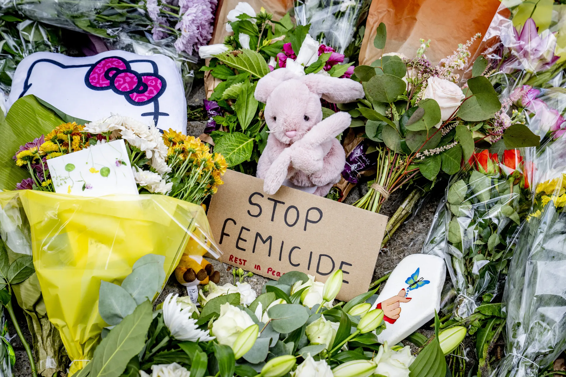 Afbeelding van Een pleger is geen pleger