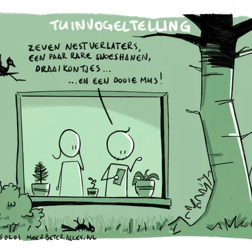 Nationale Vogeltellers zijn uitgeteld