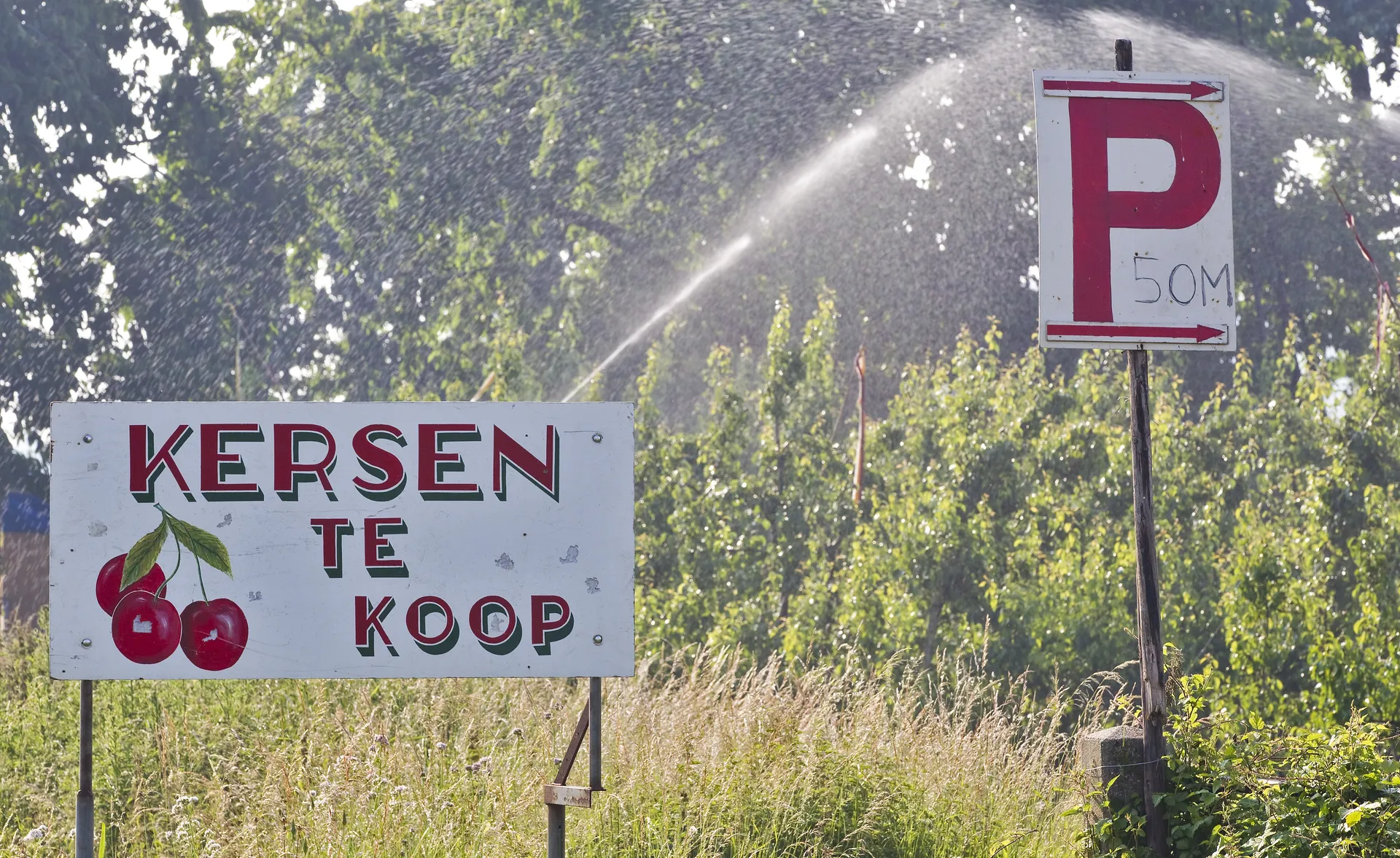 Afbeelding van Hoe een manifest van de Federatie Vruchtgroente Organisaties de Nederlandse boeren voor de bus gooit