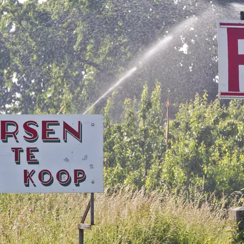 Hoe een manifest van de Federatie Vruchtgroente Organisaties de Nederlandse boeren voor de bus gooit