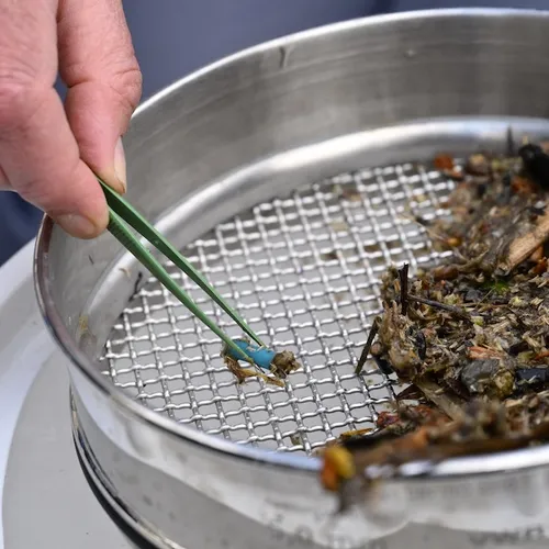Plastic zinkt naar de bodem van de oceaan en jaagt zo de klimaatcrisis aan