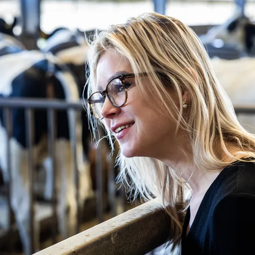 Nieuw Europees landbouwbeleid moet leiden tot kleinere veestapel in Nederland