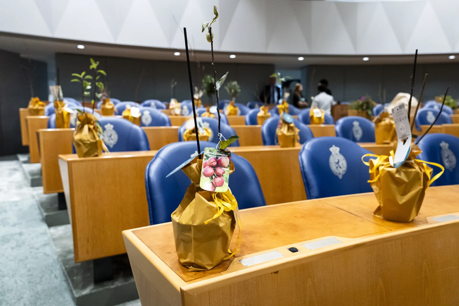 Afbeelding van We hebben niet minder, maar veel méér vmbo’ers nodig in de politiek