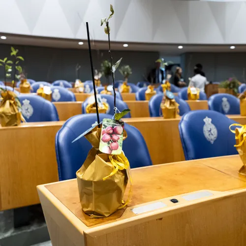 We hebben niet minder, maar veel méér vmbo’ers nodig in de politiek