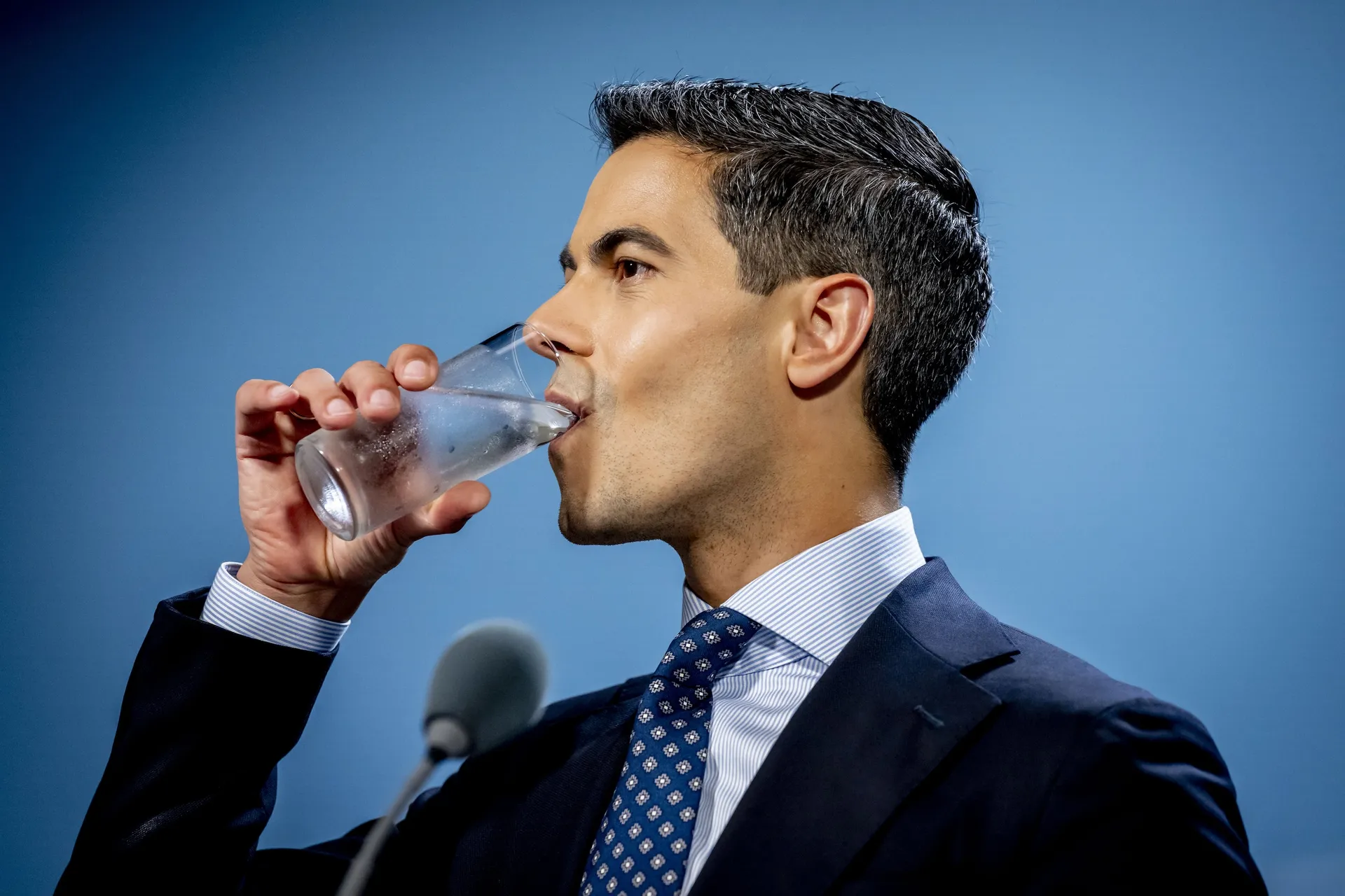 Afbeelding van De Speld werkloos maken: Het kan wel!