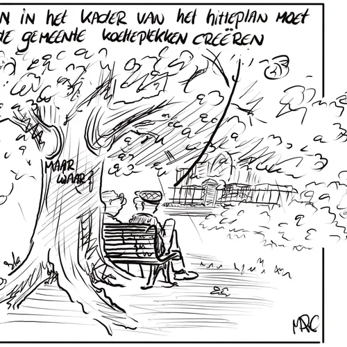 Rijksoverheid wil dat gemeenten een hitteplan maken omdat de zomers steeds warmer worden