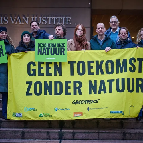 Rechter stelt Greenpeace in het gelijk: Staat moet stikstofdoel halen, anders miljoenenboete