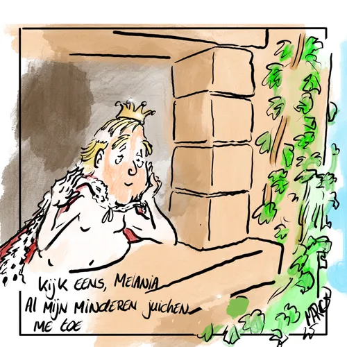 Miljoenen Amerikanen zijn de straat op gegaan om te protesteren tegen Trump