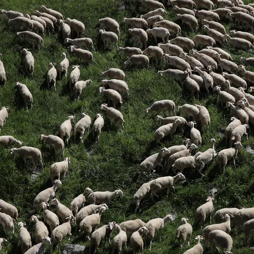 Denkt de VVD dat wij allemaal malloten zijn?