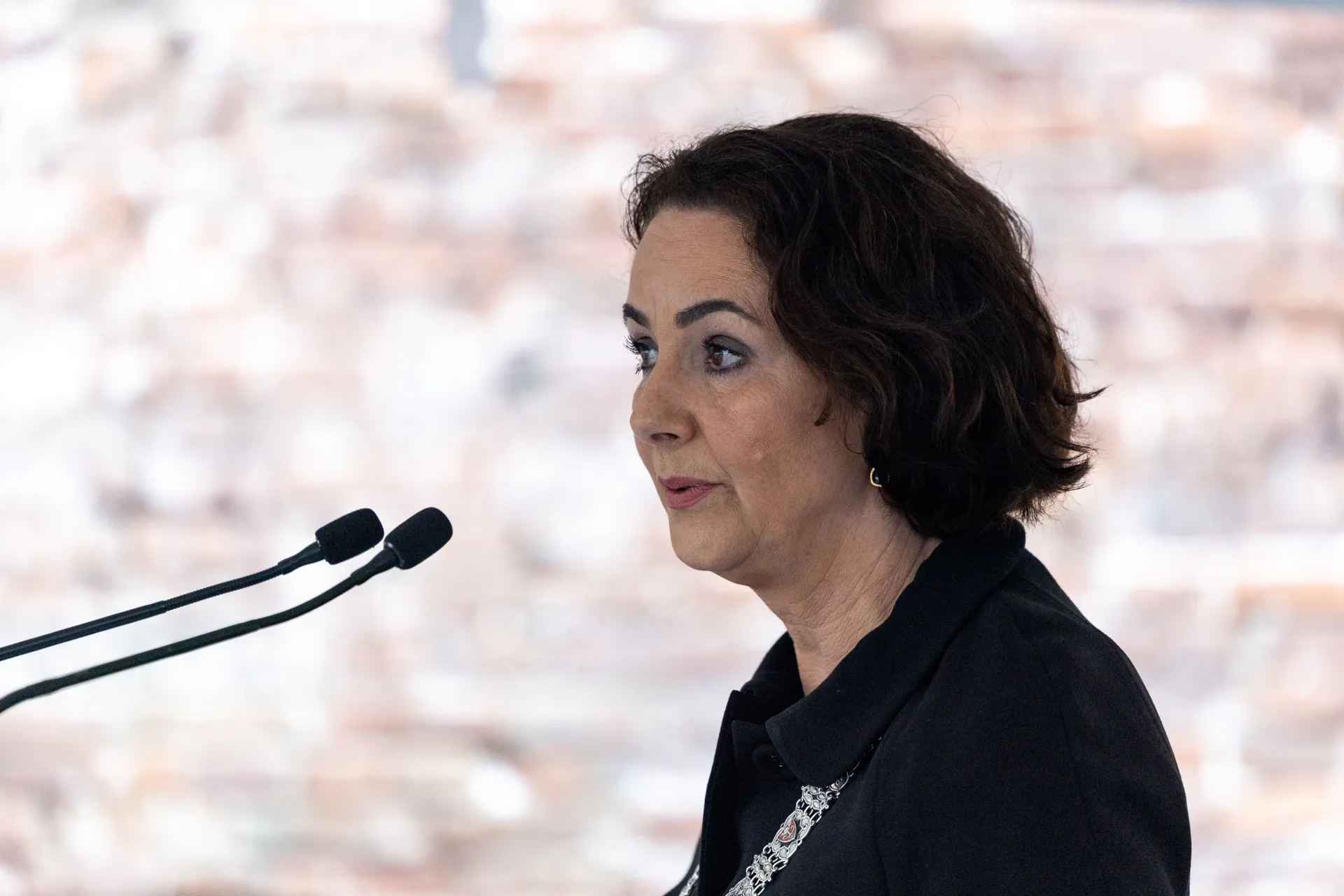 Afbeelding van Femke Halsema roept kabinet op actie te ondernemen tegen genocide in Gaza