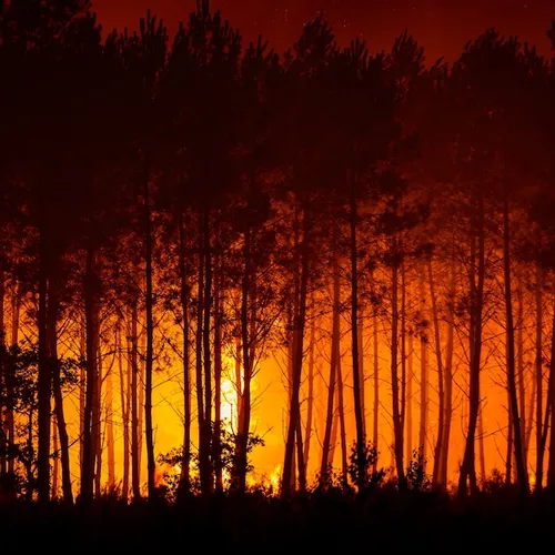 Is deze klimaatramp al groot genoeg om tot echte maatregelen over te gaan?