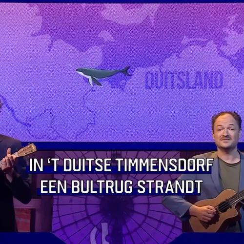Timmy is gered of niet?
