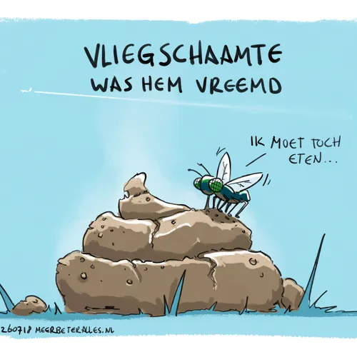 Vliegschaamte