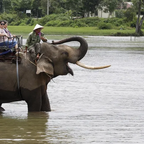 Ver weg huilen, dichtbij zwijgen, zo werkt selectieve verontwaardiging